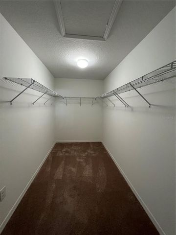 20010 DATE PALM WAY, Tampa, FL 33647