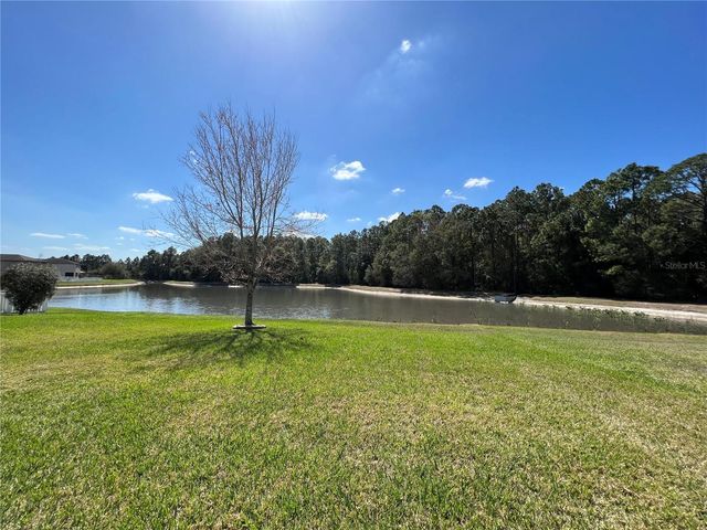 20010 DATE PALM WAY, Tampa, FL 33647