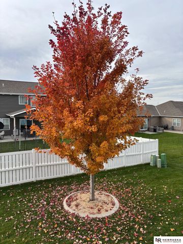 17303 Morgan Avenue, Gretna, NE 68028