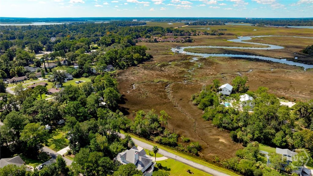 Image 15 of property listing at 0 Wilma Street, Savannah, GA 31410
