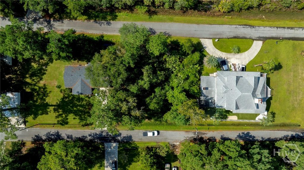 Image 6 of property listing at 0 Wilma Street, Savannah, GA 31410
