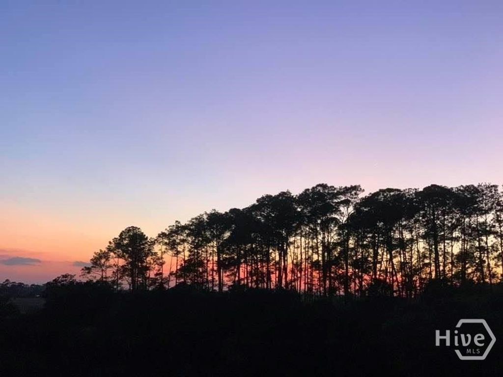 Image 7 of property listing at 0 Wilma Street, Savannah, GA 31410