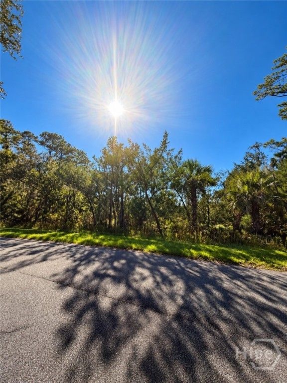 Image 9 of property listing at 0 Wilma Street, Savannah, GA 31410