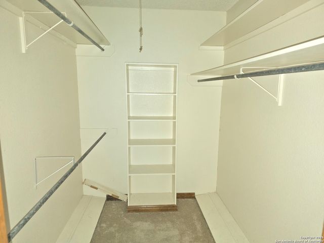 6207 pine needles, San Antonio, TX 78244