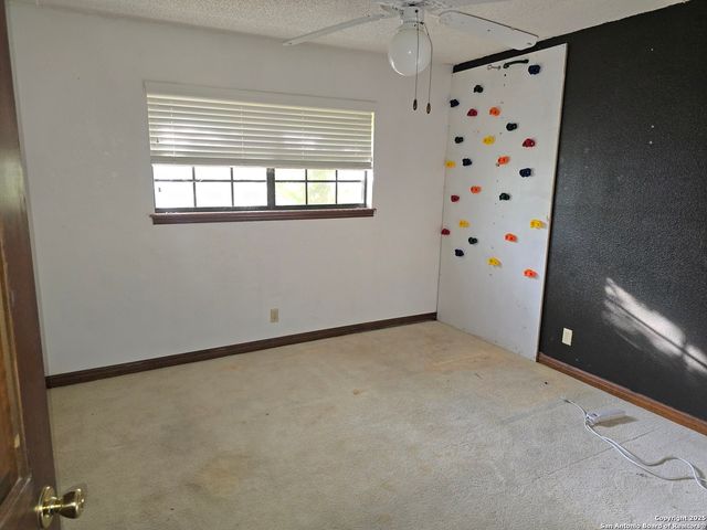 6207 pine needles, San Antonio, TX 78244