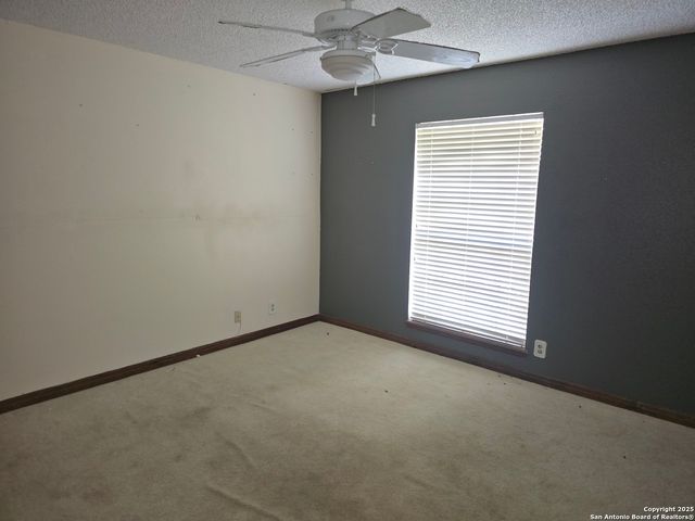 6207 pine needles, San Antonio, TX 78244