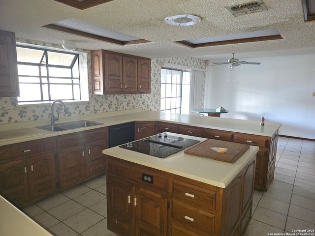 6207 pine needles, San Antonio, TX 78244