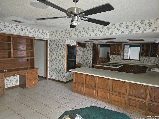 6207 pine needles, San Antonio, TX 78244