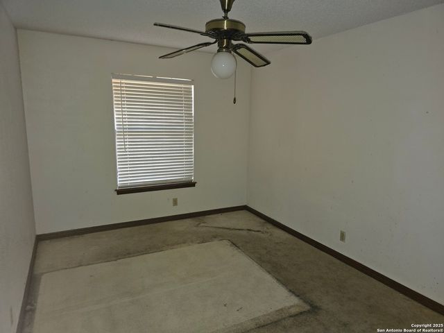 6207 pine needles, San Antonio, TX 78244