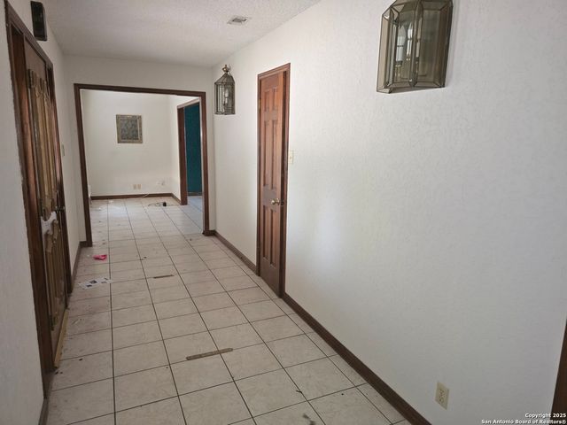 6207 pine needles, San Antonio, TX 78244