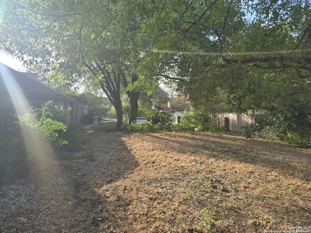 6207 pine needles, San Antonio, TX 78244