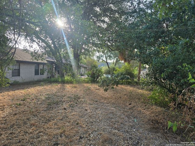 6207 pine needles, San Antonio, TX 78244