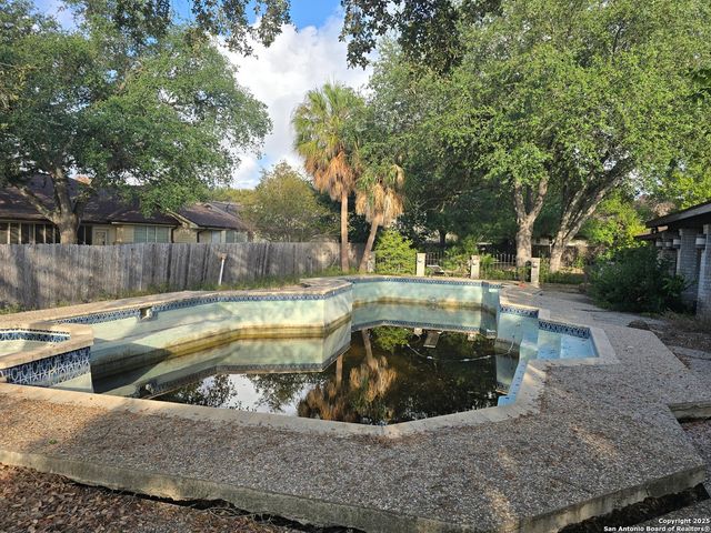 6207 pine needles, San Antonio, TX 78244