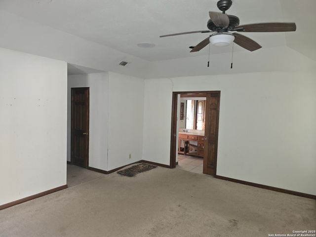 6207 pine needles, San Antonio, TX 78244