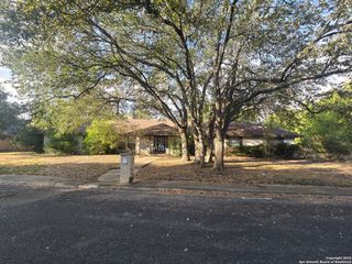 6207 pine needles, San Antonio, TX 78244