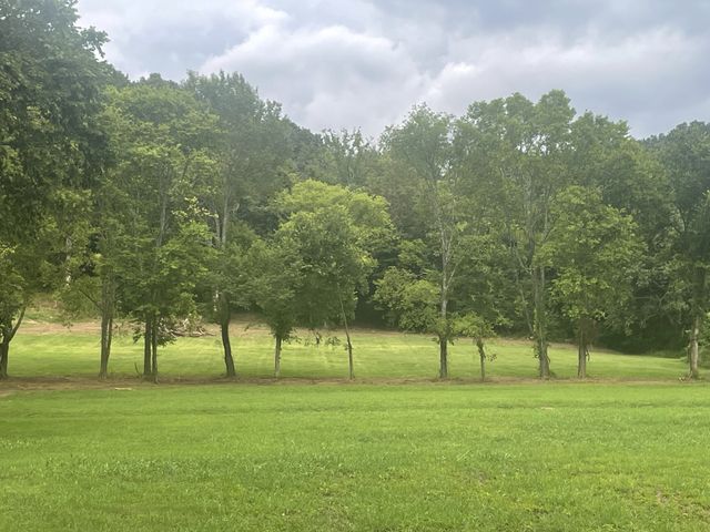 6822 Arno Allisona Rd, College Grove, TN 37046