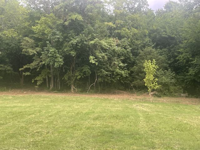 6822 Arno Allisona Rd, College Grove, TN 37046
