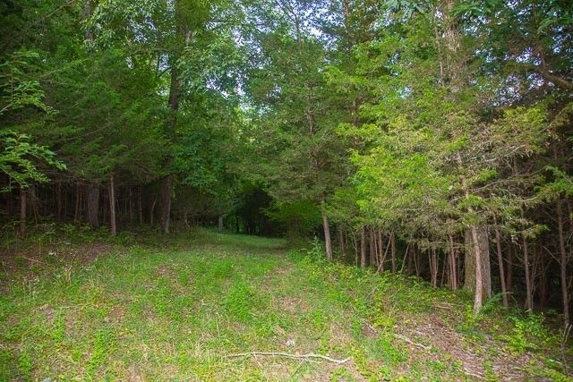6822 Arno Allisona Rd, College Grove, TN 37046