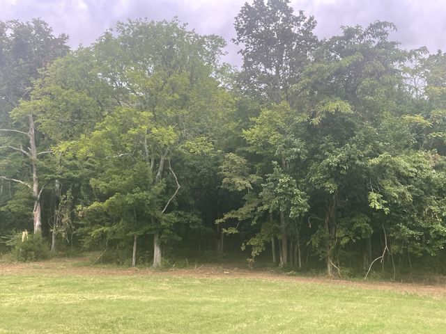 6822 Arno Allisona Rd, College Grove, TN 37046