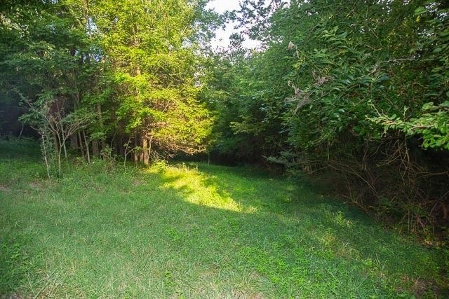 6822 Arno Allisona Rd, College Grove, TN 37046