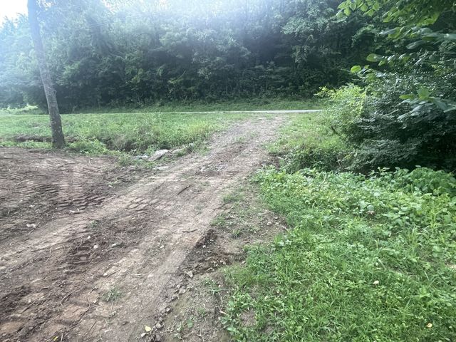 6822 Arno Allisona Rd, College Grove, TN 37046