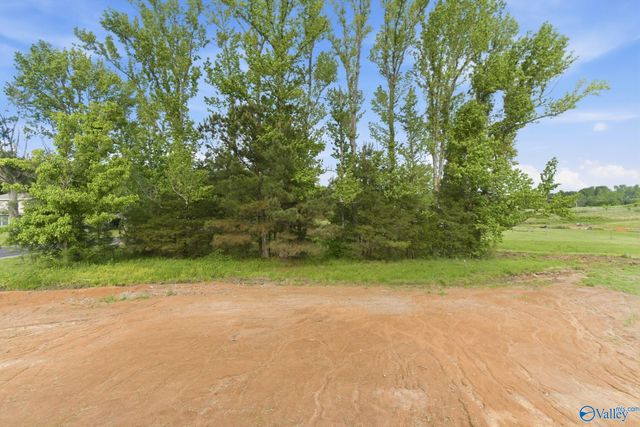 2253 Old Union Road, Grant, AL 35747