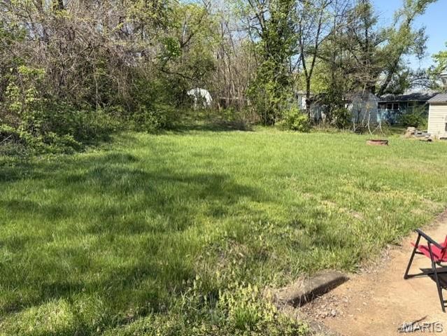 298 Nicholson Drive, Potosi, MO 63664