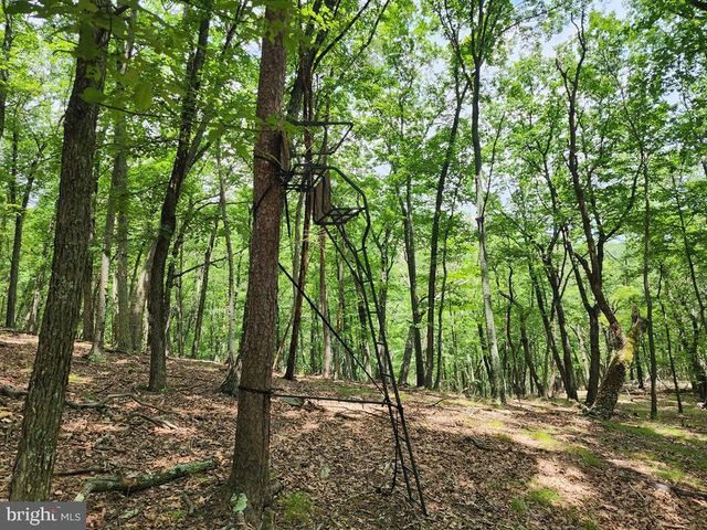 1152 MARYVALE LN, Petersburg, WV 26847