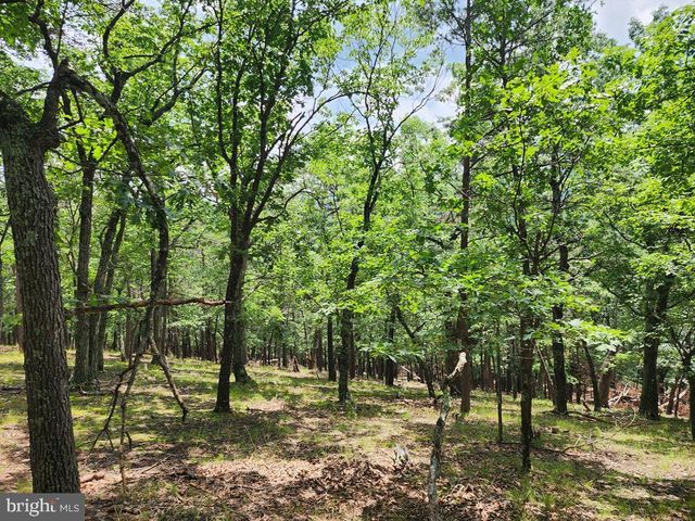 1152 MARYVALE LN, Petersburg, WV 26847
