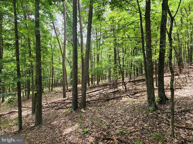 1152 MARYVALE LN, Petersburg, WV 26847