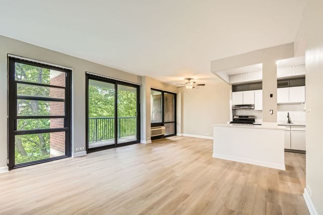 3041 S Michigan Avenue 501, Chicago, IL 60616
