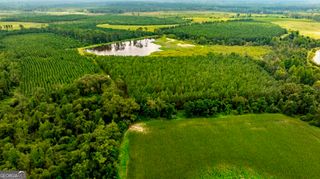 0 Canoochee Road, Cobbtown, GA 30420