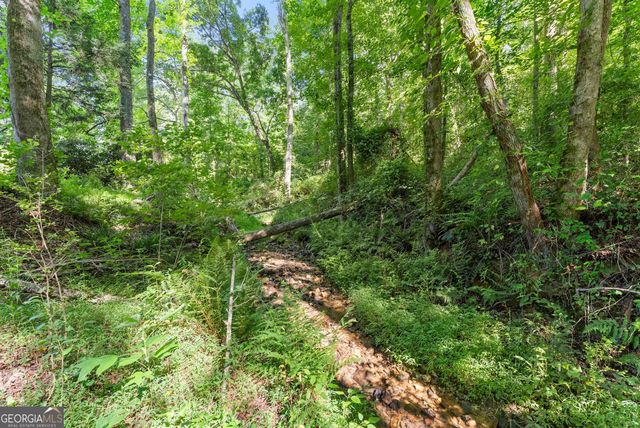 638 Hazel Creek Road, Mount Airy, GA 30563