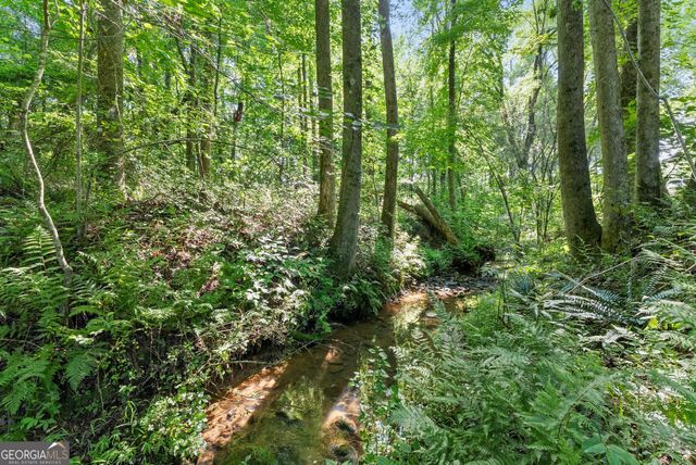638 Hazel Creek Road, Mount Airy, GA 30563