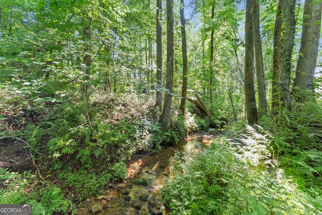 638 Hazel Creek Road, Mount Airy, GA 30563