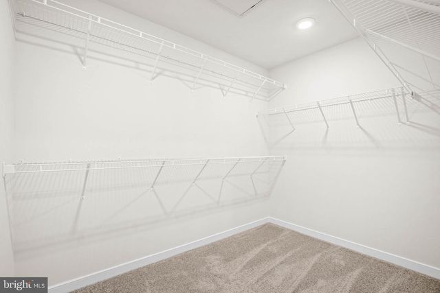 6232 FOLLY LN, Alexandria, VA 22315