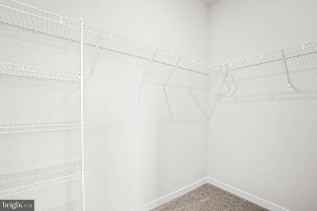 6232 FOLLY LN, Alexandria, VA 22315