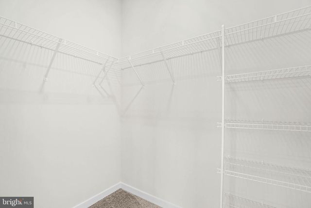 6232 FOLLY LN, Alexandria, VA 22315