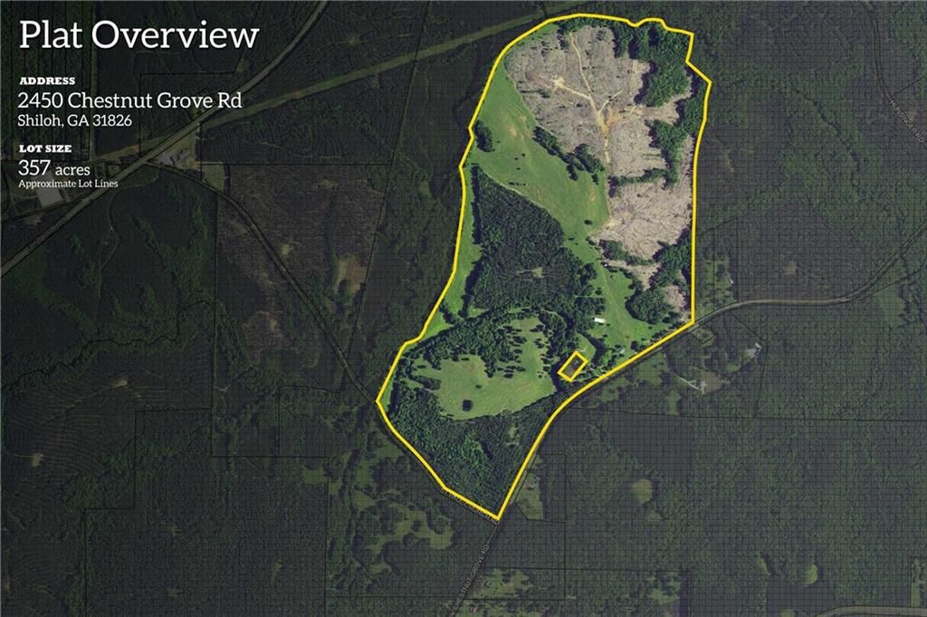 2450 Chestnut Grove Road, Shiloh, GA 31826