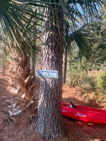 4882 Sound View Drive, Mount Pleasant, SC 29466