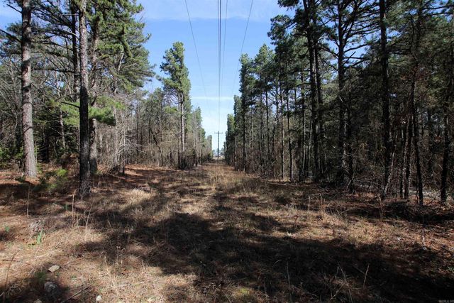 2986 E Mountain Road, Clinton, AR 72031