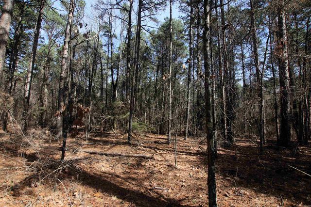 2986 E Mountain Road, Clinton, AR 72031