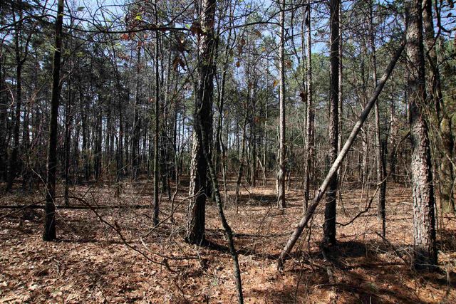 2986 E Mountain Road, Clinton, AR 72031