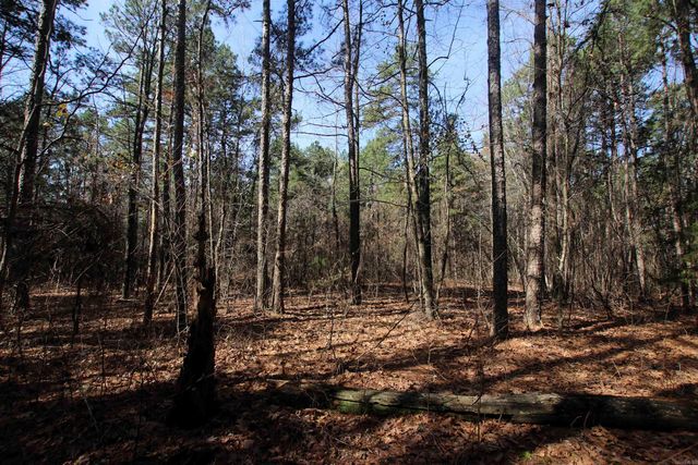 2986 E Mountain Road, Clinton, AR 72031