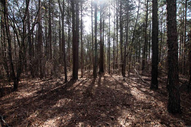 2986 E Mountain Road, Clinton, AR 72031