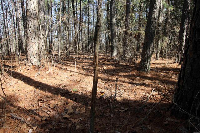 2986 E Mountain Road, Clinton, AR 72031
