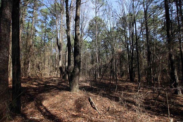 2986 E Mountain Road, Clinton, AR 72031