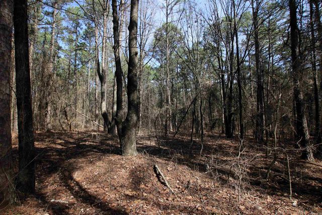 2986 E Mountain Road, Clinton, AR 72031
