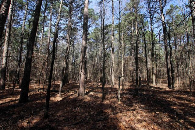 2986 E Mountain Road, Clinton, AR 72031