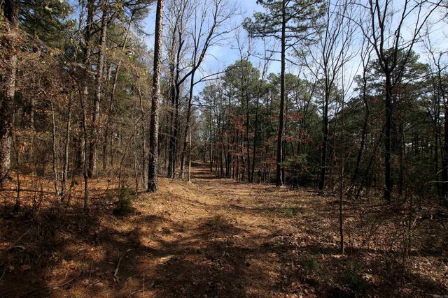 2986 E Mountain Road, Clinton, AR 72031